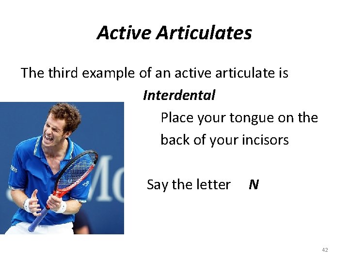 Active Articulates The third example of an active articulate is Interdental Place your tongue