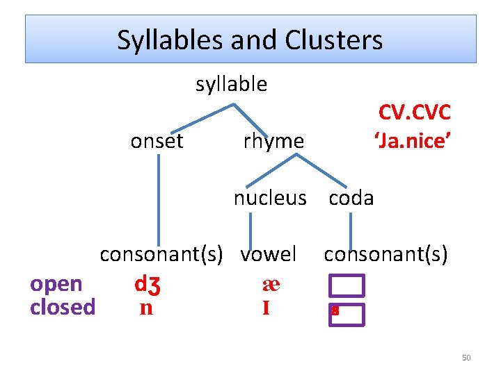 Syllables and Clusters syllable onset CV. CVC ‘Ja. nice’ rhyme nucleus coda open closed