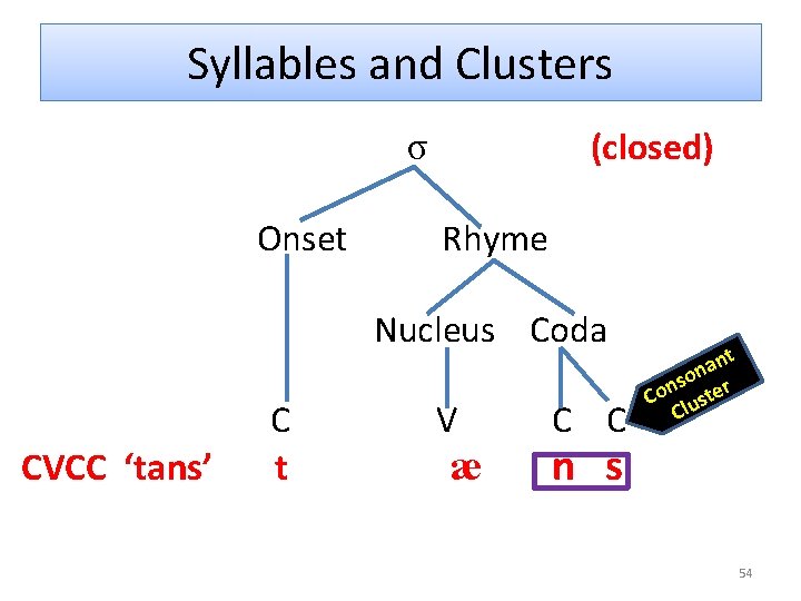 Syllables and Clusters (closed) σ Onset Rhyme Nucleus Coda CVCC ‘tans’ C t V