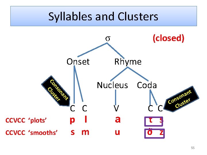 Syllables and Clusters (closed) σ Onset t an on r ns te Co Clus