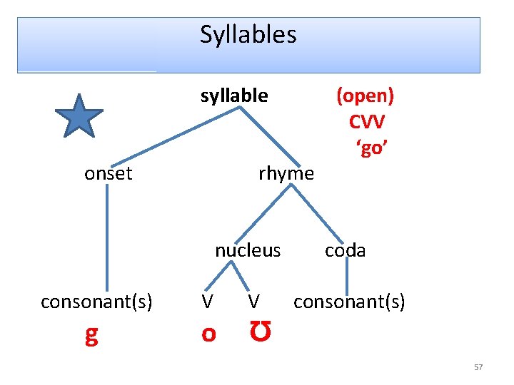 Syllables syllable onset rhyme (open) CVV ‘go’ nucleus coda consonant(s) V V g o