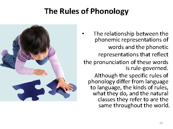 The Rules of Phonology The relationship between the phonemic representations of words and the