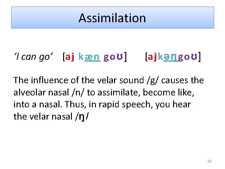 Assimilation ‘I can go’ [aj kæn goʊ] [ajkəŋgoʊ] The influence of the velar sound
