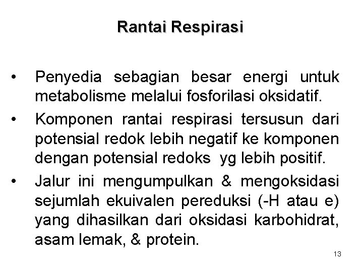 Rantai Respirasi • • • Penyedia sebagian besar energi untuk metabolisme melalui fosforilasi oksidatif.