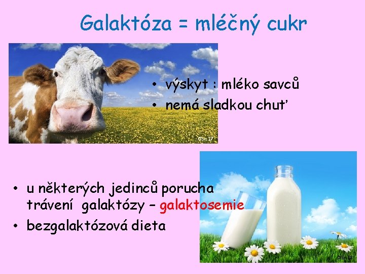 Galaktóza = mléčný cukr • výskyt : mléko savců • nemá sladkou chuť Obr.