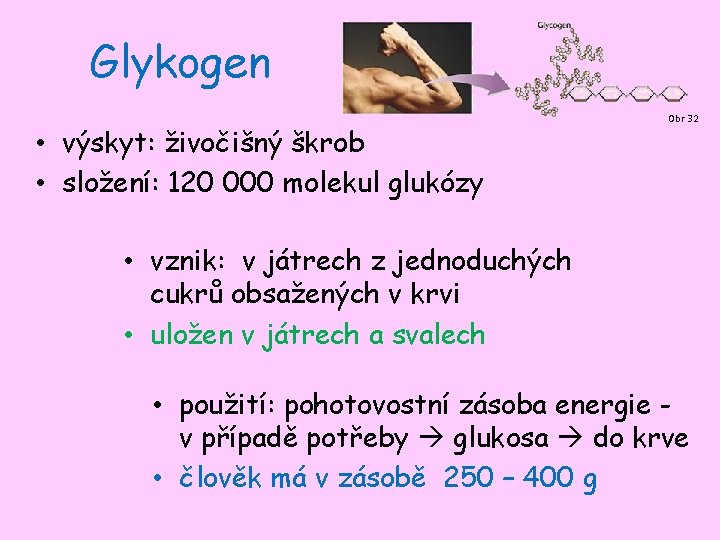 Glykogen • výskyt: živočišný škrob • složení: 120 000 molekul glukózy Obr 32 •