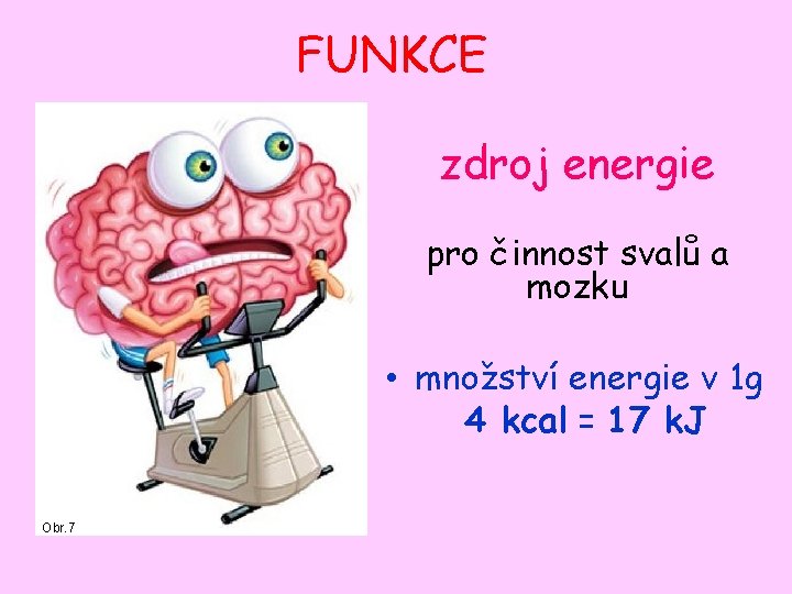 FUNKCE zdroj energie pro činnost svalů a mozku • množství energie v 1 g