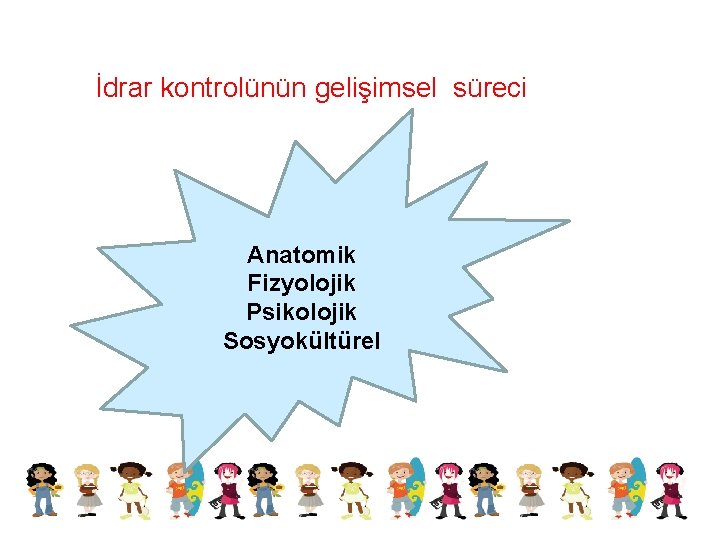 İdrar kontrolünün gelişimsel süreci Anatomik Fizyolojik Psikolojik Sosyokültürel 