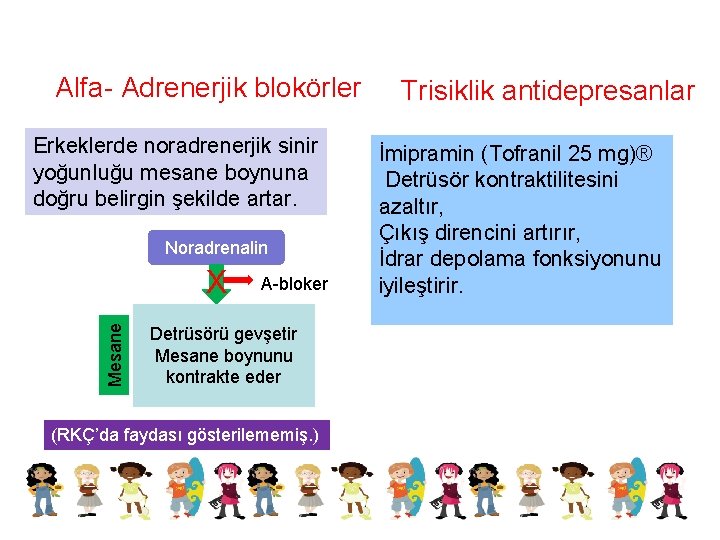 Alfa- Adrenerjik blokörler Erkeklerde noradrenerjik sinir yoğunluğu mesane boynuna doğru belirgin şekilde artar. Noradrenalin