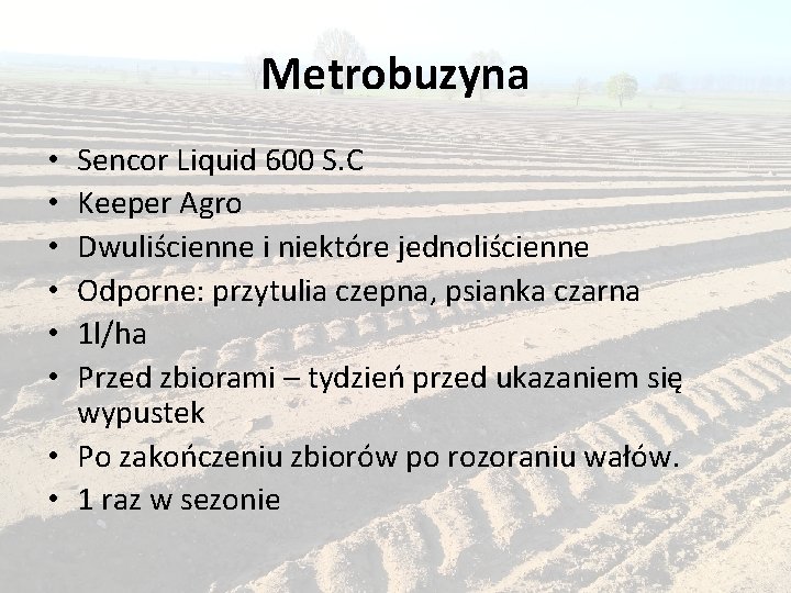 Metrobuzyna Sencor Liquid 600 S. C Keeper Agro Dwuliścienne i niektóre jednoliścienne Odporne: przytulia