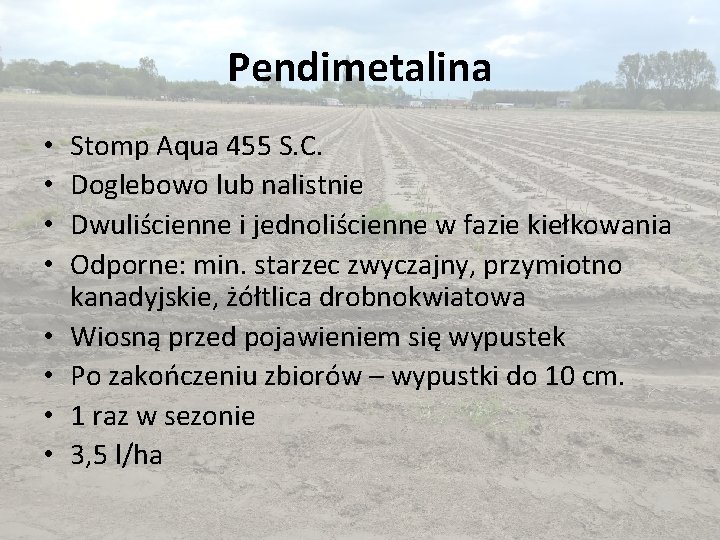 Pendimetalina • • Stomp Aqua 455 S. C. Doglebowo lub nalistnie Dwuliścienne i jednoliścienne