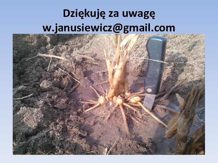 Dziękuję za uwagę w. janusiewicz@gmail. com 