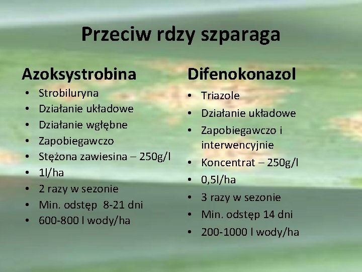 Przeciw rdzy szparaga Azoksystrobina • • • Strobiluryna Działanie układowe Działanie wgłębne Zapobiegawczo Stężona