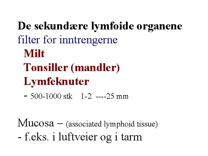 De sekundære lymfoide organene filter for inntrengerne Milt Tonsiller (mandler) Lymfeknuter - 500 -1000