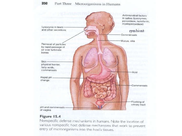 symbiont 