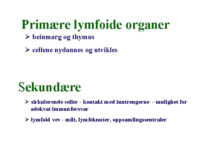  Primære lymfoide organer Ø beinmarg og thymus Ø cellene nydannes og utvikles Sekundære