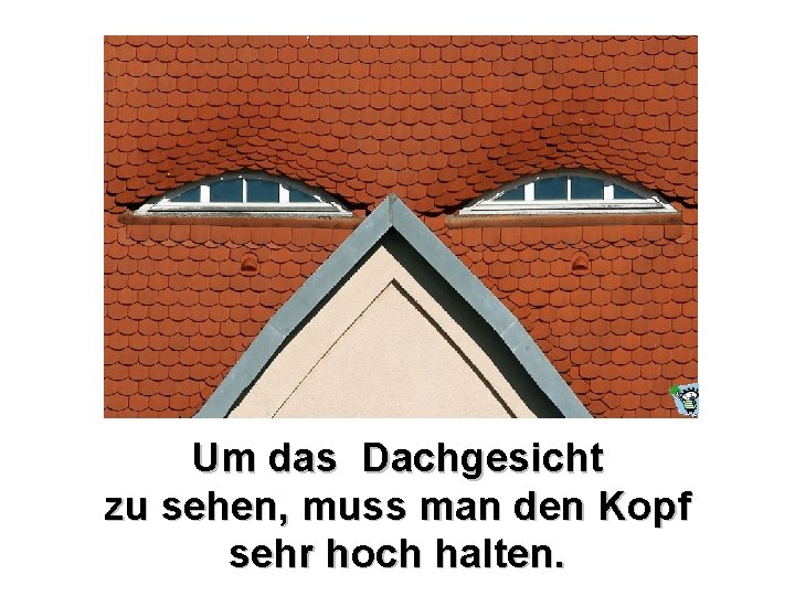Um das Dachgesicht zu sehen, muss man den Kopf sehr hoch halten. Um das Dachgesicht zu sehen, muss man den Kopf sehr hoch halten.