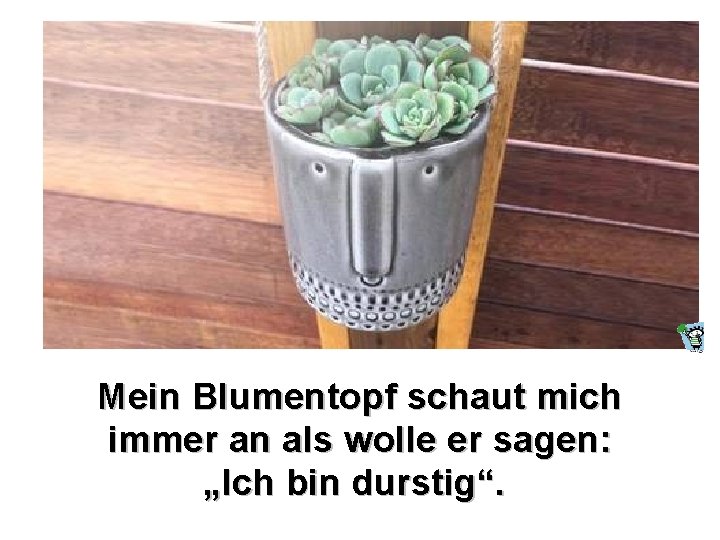 Mein Blumentopf schaut mich immer an als wolle er sagen: „Ich bin durstig“. Mein Blumentopf schaut mich immer an als wolle er sagen: „Ich bin durstig“.