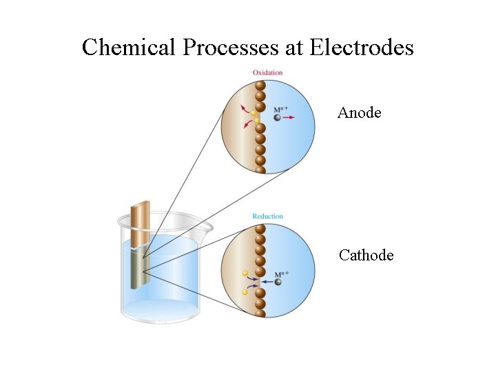 Chemical Processes at Electrodes Anode Cathode 
