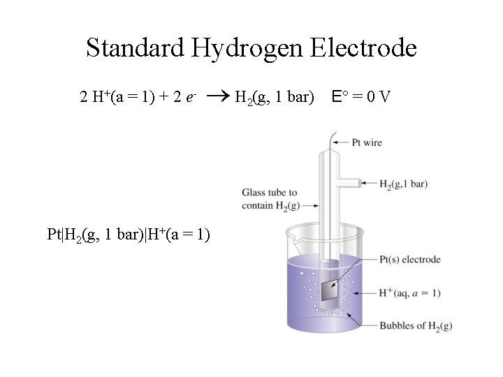 Standard Hydrogen Electrode 2 H+(a = 1) + 2 e- H 2(g, 1 bar)