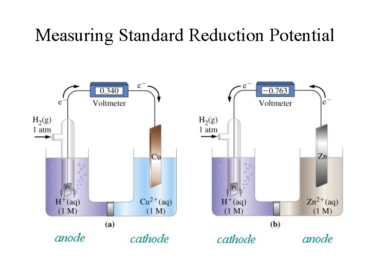 Measuring Standard Reduction Potential anode cathode anode 