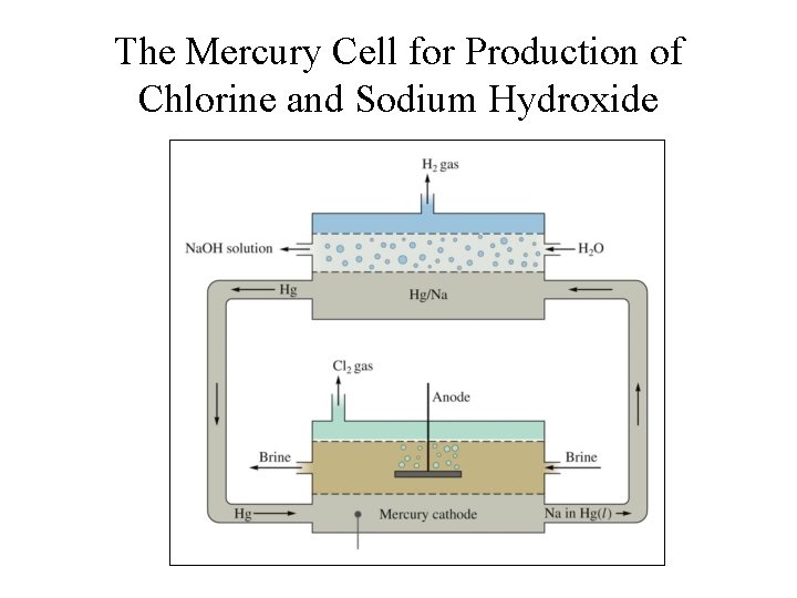 The Mercury Cell for Production of Chlorine and Sodium Hydroxide 