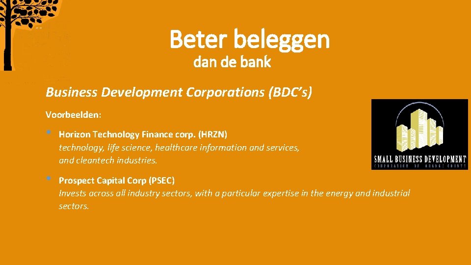 Beter beleggen dan de bank Business Development Corporations (BDC’s) Voorbeelden: • Horizon Technology Finance