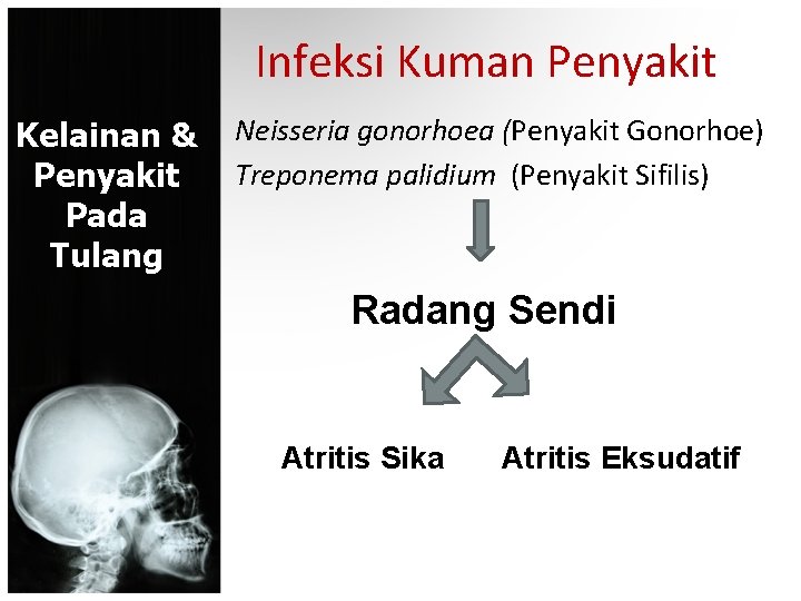 Infeksi Kuman Penyakit Kelainan & Penyakit Pada Tulang Neisseria gonorhoea (Penyakit Gonorhoe) Treponema palidium