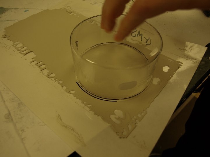 Determination of Water Vapor Permeance 