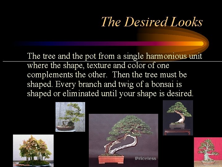 The Desired Looks The tree and the pot from a single harmonious unit where