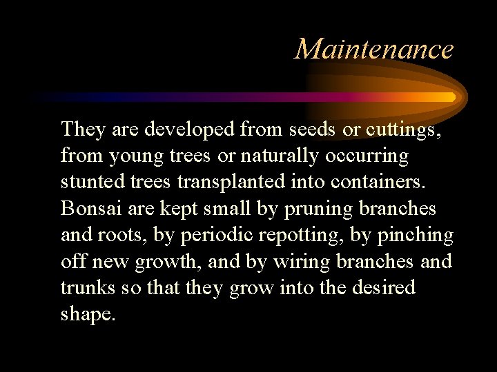 Maintenance They are developed from seeds or cuttings, from young trees or naturally occurring