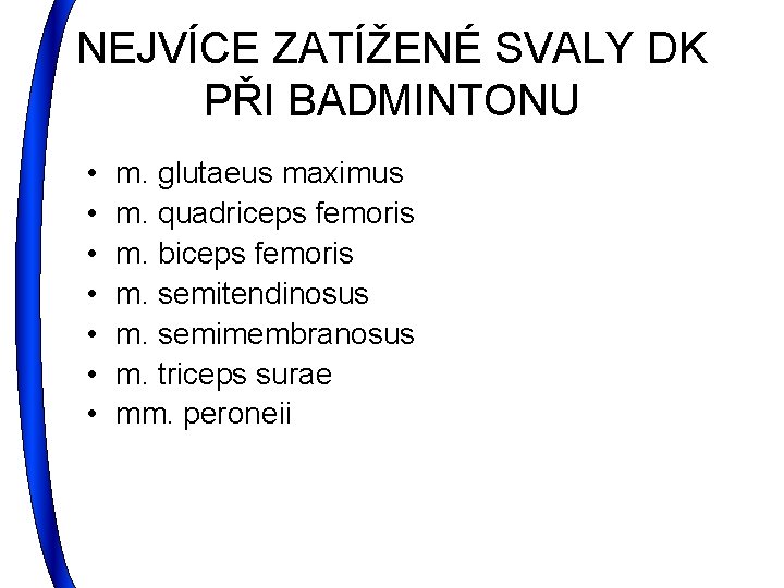 NEJVÍCE ZATÍŽENÉ SVALY DK PŘI BADMINTONU • • m. glutaeus maximus m. quadriceps femoris