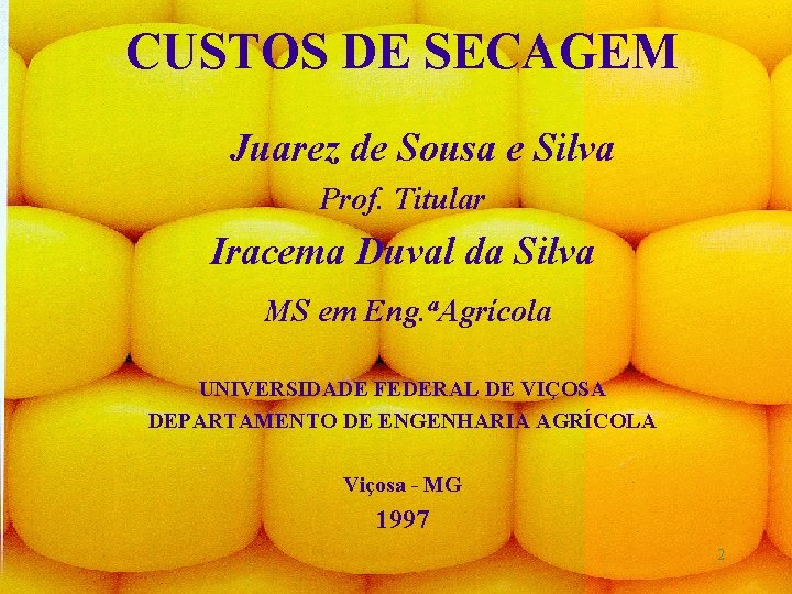 CUSTOS DE SECAGEM Juarez de Sousa e Silva Prof. Titular Iracema Duval da Silva