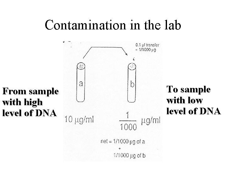 Contamination in the lab From sample with high level of DNA To sample with