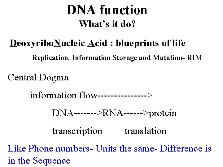 DNA function What’s it do? Deoxyribo. Nucleic Acid : blueprints of life Replication, Information