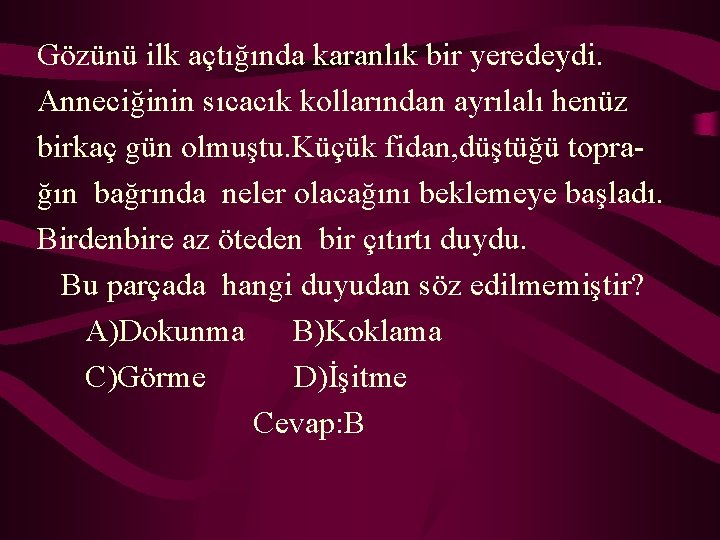 Gözünü ilk açtığında karanlık bir yeredeydi. Anneciğinin sıcacık kollarından ayrılalı henüz birkaç gün olmuştu.