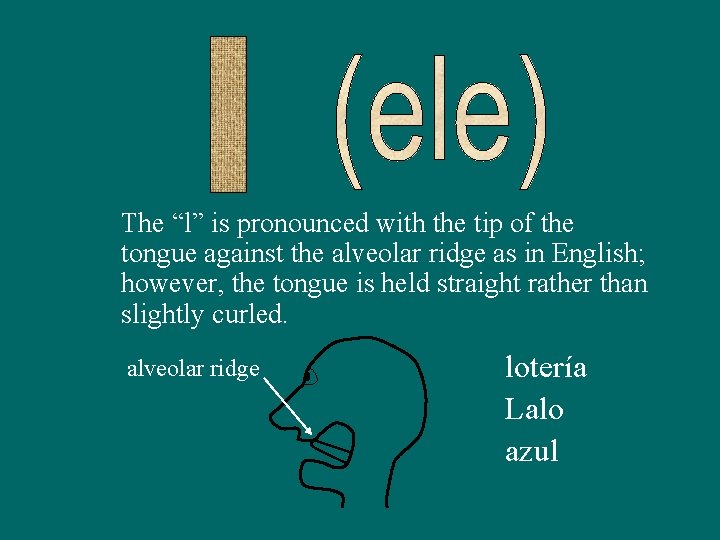 The “l” is pronounced with the tip of the tongue against the alveolar ridge
