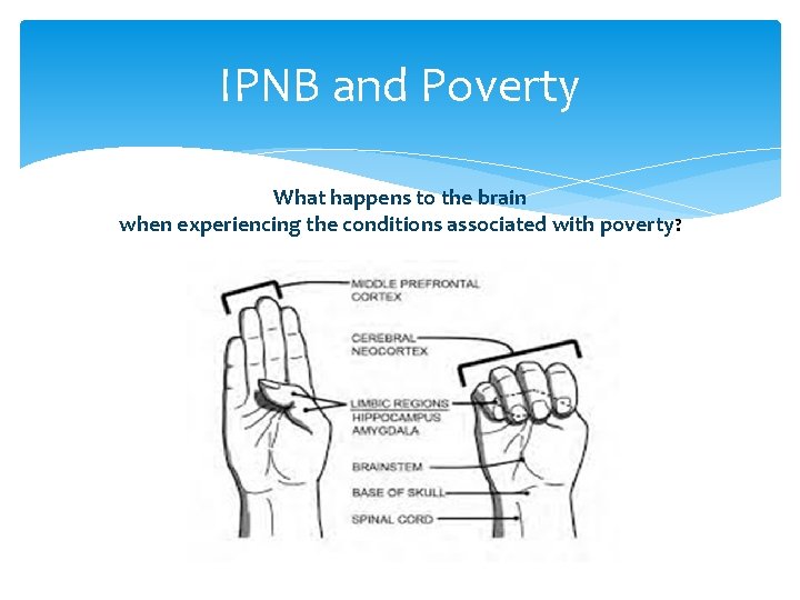 IPNB and Poverty What happens to the brain when experiencing the conditions associated with