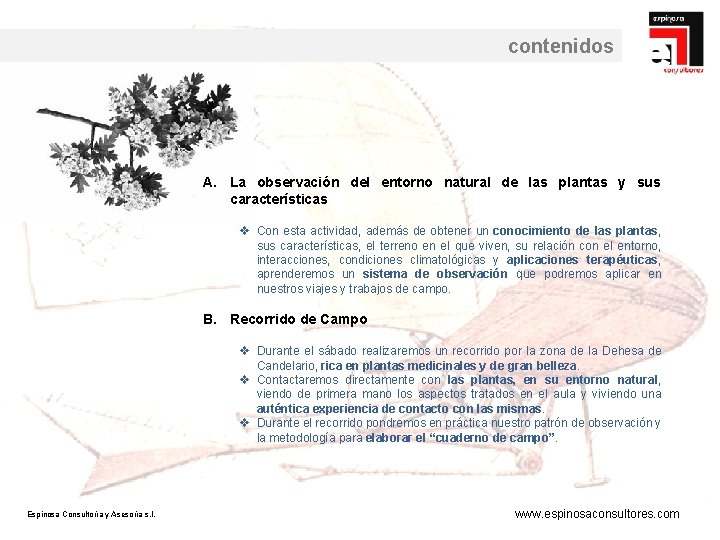 contenidos A. La observación del entorno natural de las plantas y sus características v