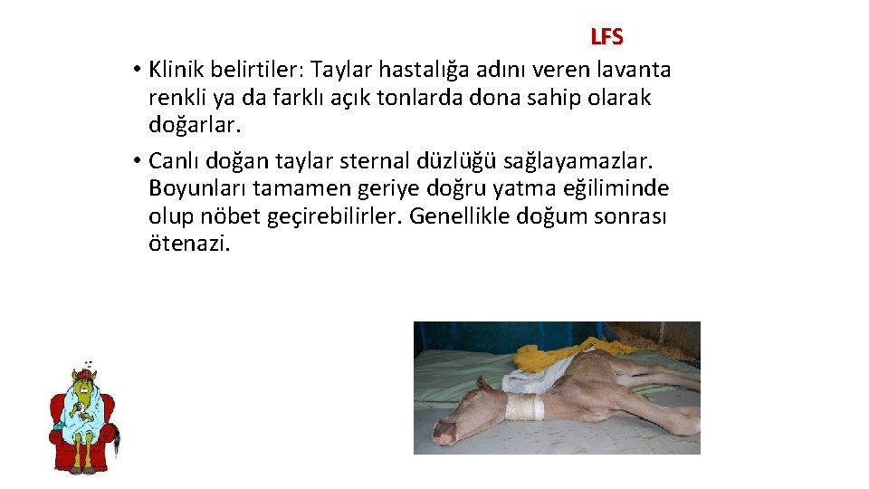 LFS • Klinik belirtiler: Taylar hastalığa adını veren lavanta renkli ya da farklı açık