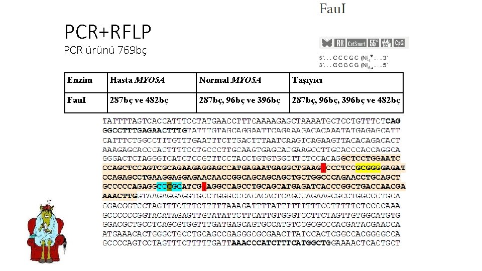 PCR+RFLP PCR ürünü 769 bç Enzim Hasta MYO 5 A Normal MYO 5 A