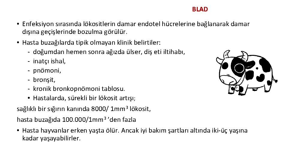 BLAD • Enfeksiyon sırasında lökositlerin damar endotel hücrelerine bağlanarak damar dışına geçişlerinde bozulma görülür.