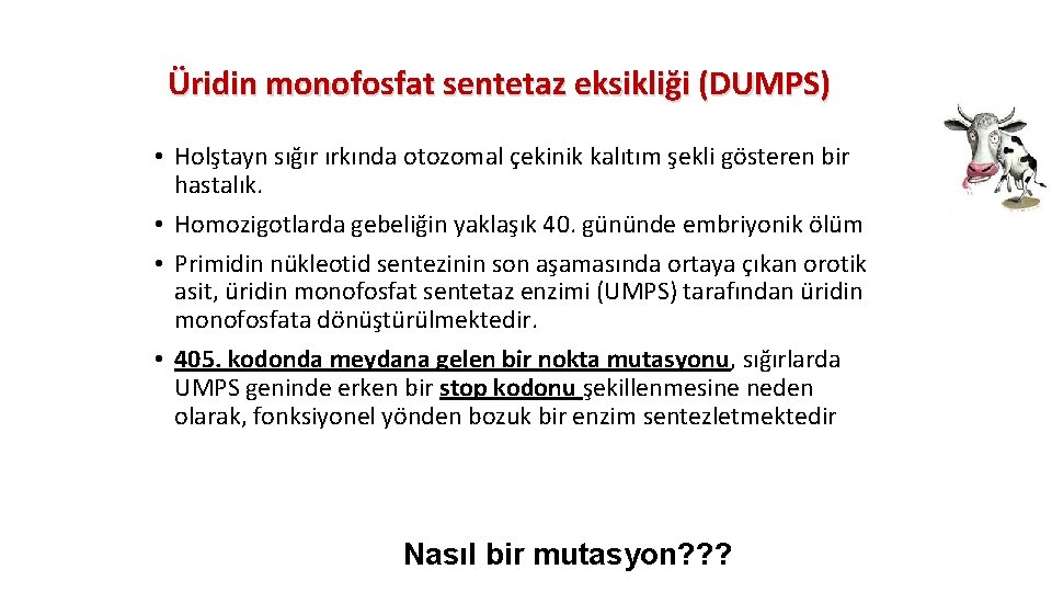 Üridin monofosfat sentetaz eksikliği (DUMPS) • Holştayn sığır ırkında otozomal çekinik kalıtım şekli gösteren