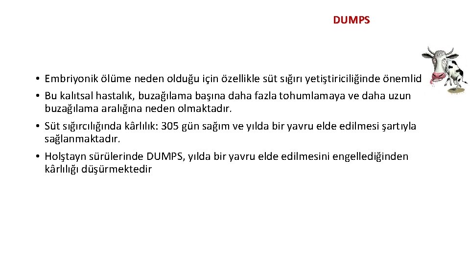 DUMPS • Embriyonik ölüme neden olduğu için özellikle süt sığırı yetiştiriciliğinde önemlidir. • Bu