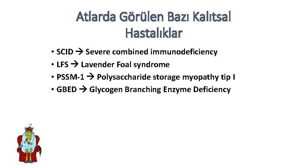 Atlarda Görülen Bazı Kalıtsal Hastalıklar • SCID Severe combined immunodeficiency • LFS Lavender Foal