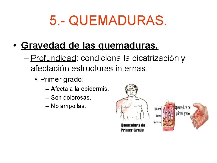 5. - QUEMADURAS. • Gravedad de las quemaduras. – Profundidad: condiciona la cicatrización y