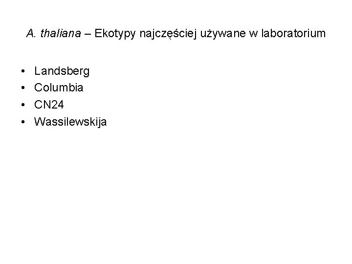 A. thaliana – Ekotypy najczęściej używane w laboratorium • • Landsberg Columbia CN 24