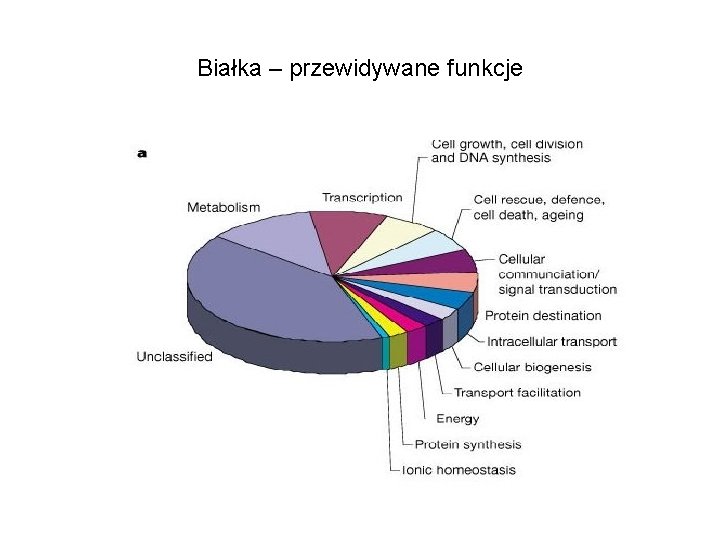 Białka – przewidywane funkcje 