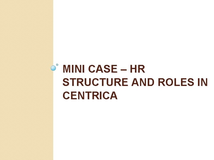 MINI CASE – HR STRUCTURE AND ROLES IN CENTRICA 