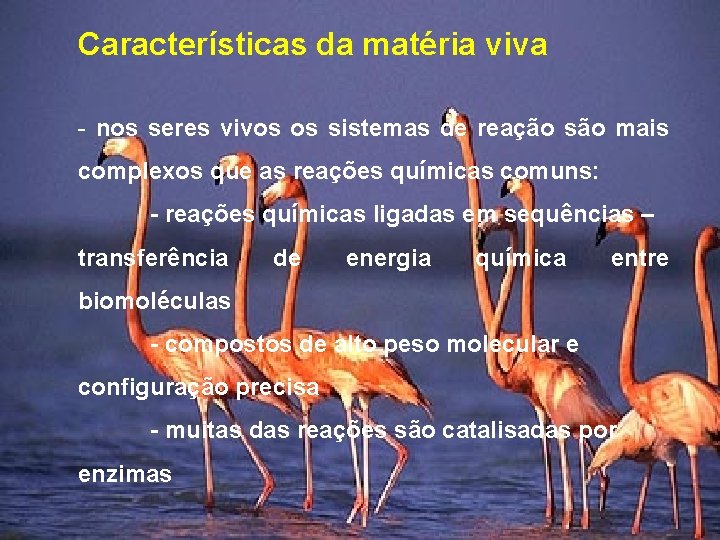 Características da matéria viva - nos seres vivos os sistemas de reação são mais